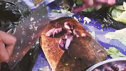 Squid Basil on pan Stock Footage