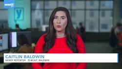 Russia Suspends Oil Deliveries To Belarus News Clip