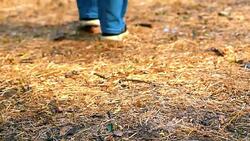 Woman walking in the park, the bottom of the legs close-up. Leaves. Stock Footage