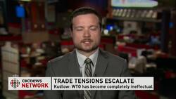 Tariff fallout News Clip