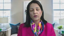 Ariel Investment's Rupal Bhansali Decodes the Markets Instructional Video