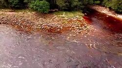 Aerial view of Churun, The Angel Falls river in the Canaima National Park. Venezuela Stock Footage