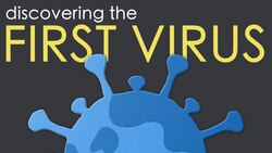 How did we discover the first virus? Instructional Video