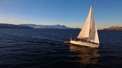 Eye Contact with Orcas, A Marine Biologist's Winter Adventure Instructional Video