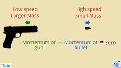 Understanding Momentum and its Applications in Daily Life Instructional Video