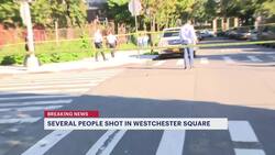 At least 4 people shot in Westchester Square News Clip