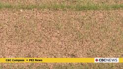 'This is going to be huge': Work continues on new Stratford community campus News Clip