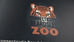 'Big impact in a fun way.' Foolproof Brewing Co. launches beer to benefit zoo education programs News Clip