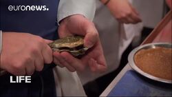 Tourists flock to Lyon for a gourmet getaway News Clip