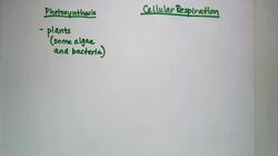 Plants and Energy Instructional Video