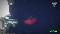 This Beautiful House Is Made of Snot Instructional Video