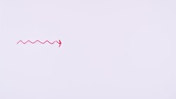 Hazards of radiation _ GCSE Physics Instructional Video