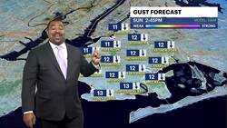 Cold, dry and sunny conditions in Brooklyn News Clip