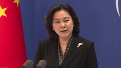 CLEAN : China slams Covid-19 probe critics News Clip