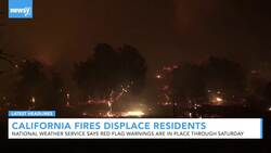 Newsy's Latest Headlines News Clip