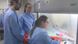 UK: Scientists at Liverpool School of Tropical Medicine testing samples of Covid-19 News Clip
