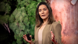 The world's first "nature superpower" | Ilona Szabó de Carvalho Instructional Video