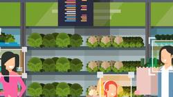 AI Application Instructional Video