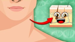 Your Skin Is The LARGEST Organ In Your Body! | Human Skin Song | KLT Anatomy Instructional Video