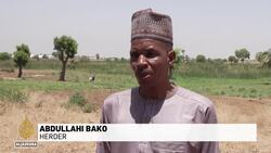 Renewed attacks in Nigeria: Conflict between farmers and herders in the north News Clip