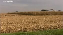 'Mutagenesis' plant breeding technique comes under GMO rules News Clip