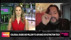 Colossal CEO Says Its About Saving Biodiversity, Not Just Extinct Woolly Mammoth News Clip