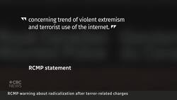 Parents should be on high alert for signs of radicalization, experts say News Clip