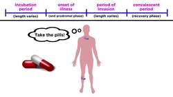 Bacterial Infections in Humans Instructional Video