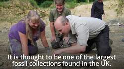 Scientists discover a major cache of fossils in the Cotswolds News Clip