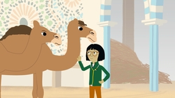 The Camels Grumpy Day Instructional Video