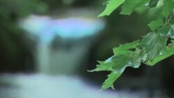 River Itchen water levels lower during a drought News Clip