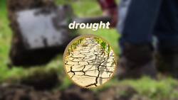 Soils Instructional Video