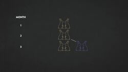 The Golden Ratio: Is It Myth or Math? Instructional Video