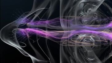 The Elements: Uses and Importance in Everyday Life