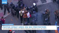 Secret Service Says It Used Pepper Spray To Disperse Protesters News Clip