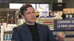 Asked about online harms bill, Poilievre raises Trudeau's past use of blackface News Clip