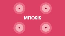 Human growth curves Instructional Video