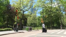 CLEAN : New York's newest attraction: the Central Park barber News Clip