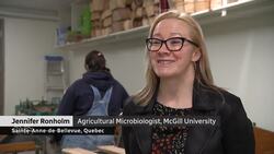 Why does it seem like there's been more food recalls lately? News Clip