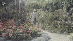 What Did Monet Eat in a Day? Instructional Video