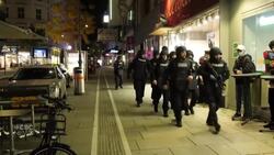 Gunfire erupts near synagogue in Vienna News Clip