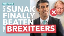 How Sunak (finally) Defeated Johnson and the Brexiteers Instructional Video