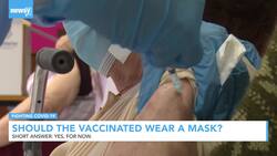 Experts Say Those Already Vaccinated Should Still Wear Mask News Clip