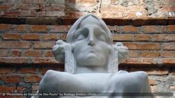 Top 7 Places to Visit in São Paulo Instructional Video