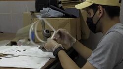 CLEAN : Venezuelan volunteers make handmade face shields for doctors fighting Covid News Clip