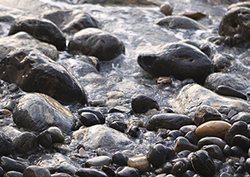 Ciclos de las rocas Instructional Video