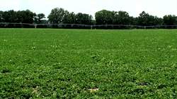 Preserving Farmland and Wetlands Through Conservation Instructional Video