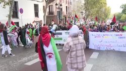 CLEAN : Protest in Madrid for the self determination of Saharawi people News Clip