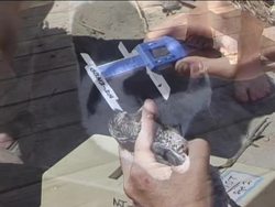 Observations and Data: Summing Up Instructional Video