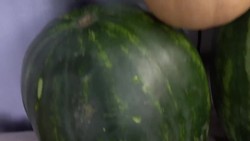 Claymore Roomba Hide & Seek! Instructional Video